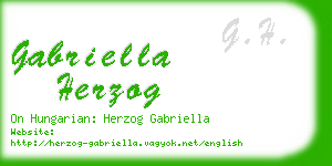gabriella herzog business card